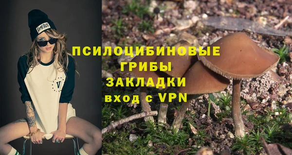 молекула духа Алексеевка