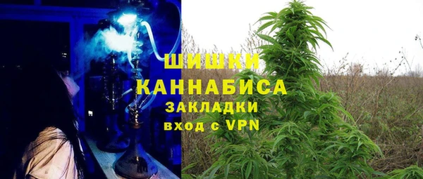 молекула духа Алексеевка