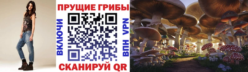 Псилоцибиновые грибы прущие грибы  блэк спрут зеркало  Ижевск 